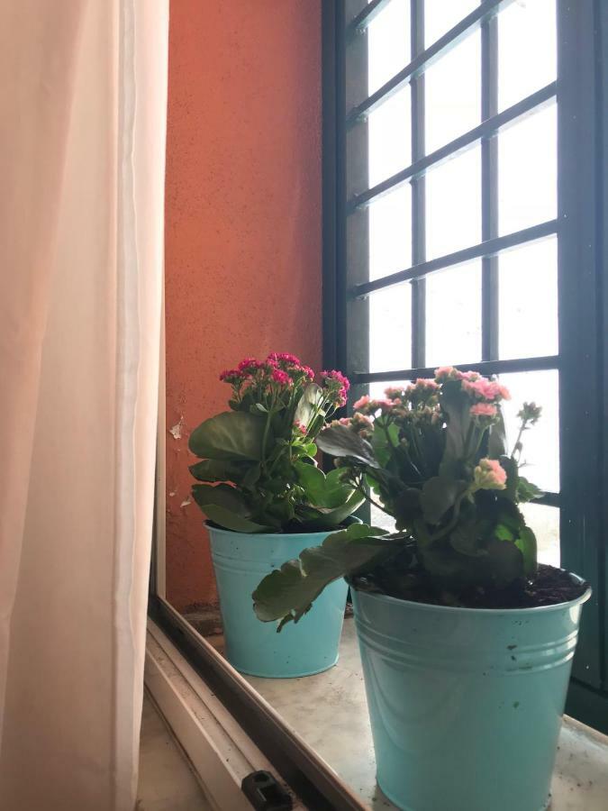 La Casa Del Fotografo Daire Roma Dış mekan fotoğraf